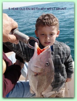 5 YEAR OLD BOY CATCHES KEY WEST GRUNTS ON FAT CAR FISHING CHARTERS.